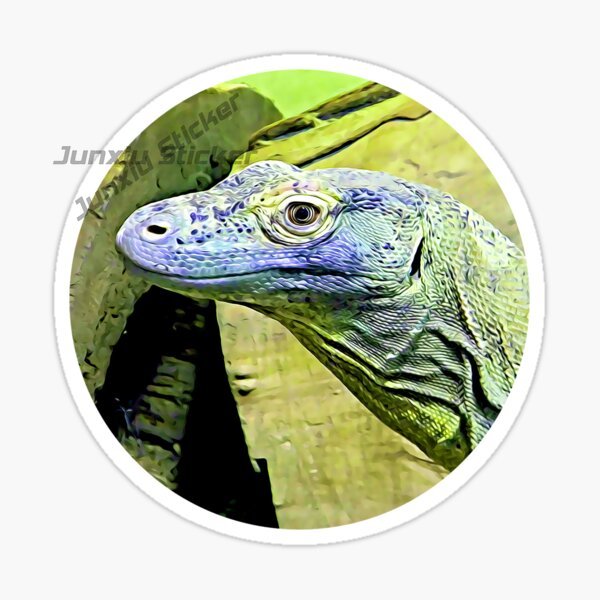 Parco Nazionale Komodo Isola K - Car Accessories Bali recensione e prezzo
